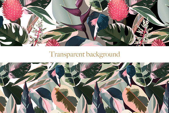 Pink tropical frames and patterns in Illustrations - product preview 13