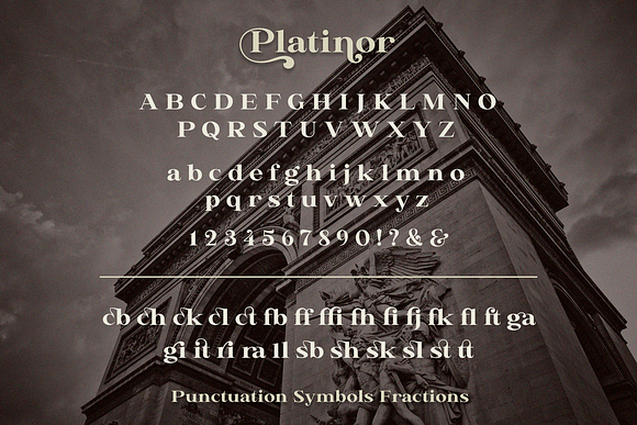 Platinor in Display Fonts - product preview 11