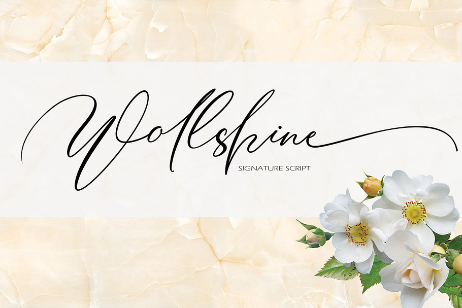 Wollshine in Script Fonts - product preview 8