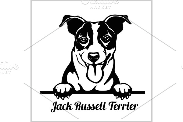 Jack Russell Terrier - Peeking Dogs