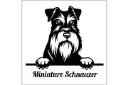 Miniature Schnauzer - Peeking Dogs -