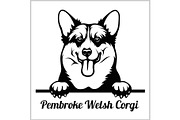 Pembroke Welsh Corgi - Peeking Dogs