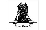 Presa Canario - Peeking Dogs - breed