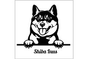 Shiba Inus - Peeking Dogs - breed