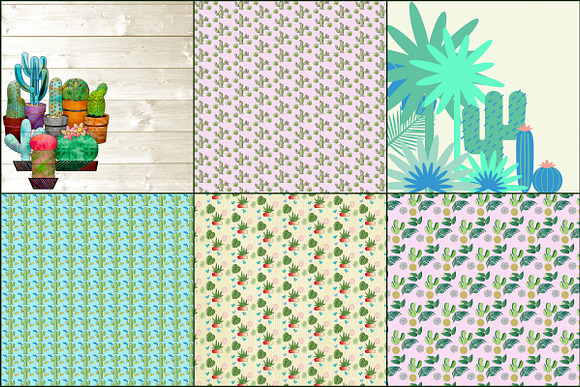 Cactus & Succulents Variety Papers in Patterns - product preview 2