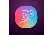 Parsley color app icon