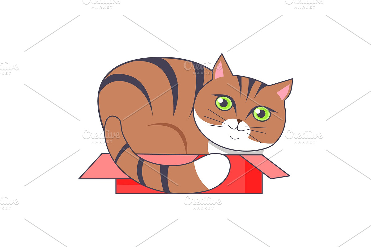 Cat Sitting in Box Red Color Vector in Objects - product preview 8