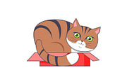 Cat Sitting in Box Red Color Vector