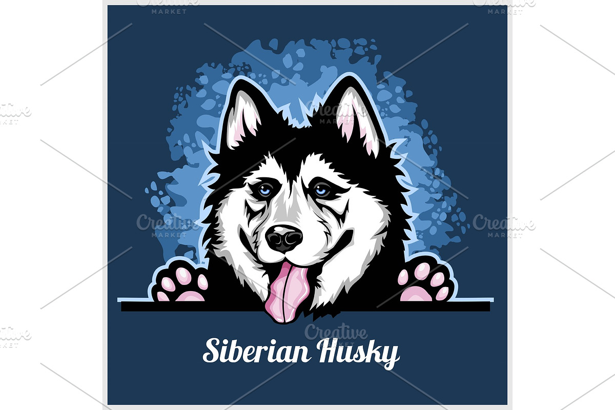 Color dog head, Siberian Husky breed in Illustrations - product preview 8