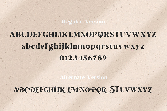 The Love For Money Font Duo in Sans-Serif Fonts - product preview 3