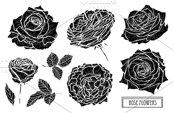 Rose Flowers Set in Illustrations - product preview 5