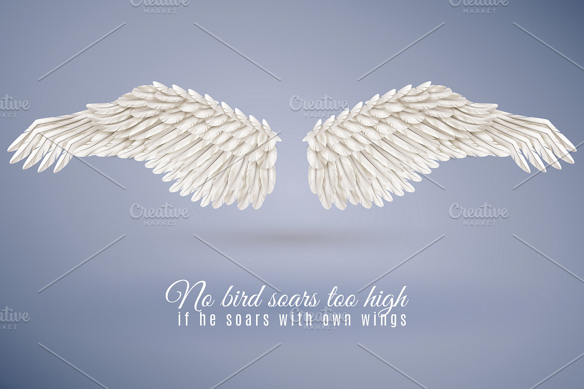 Pair of big white bird wings set in Illustrations - product preview 8