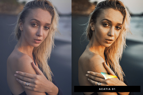 50 Instant Photo Lightroom Presets in Add-Ons - product preview 1