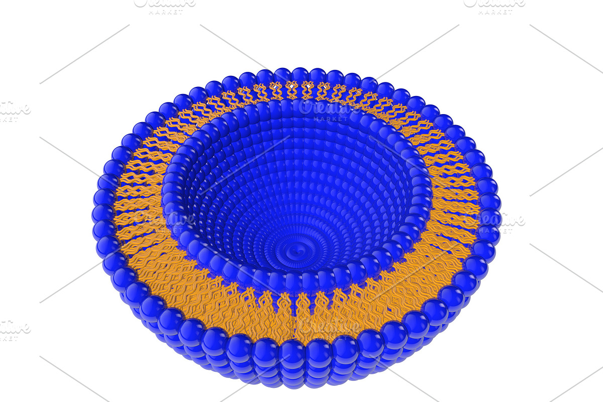 Liposome Bi-layer Structure 3D in Illustrations - product preview 8