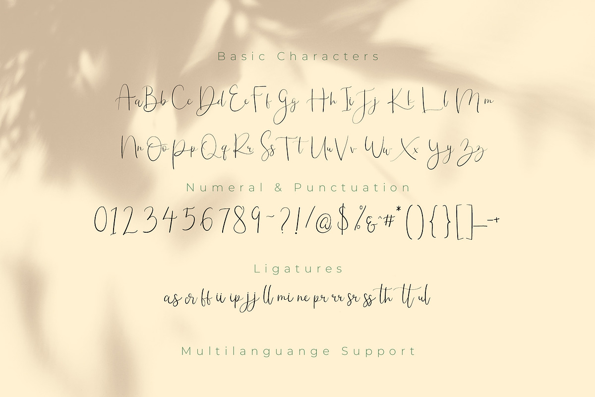 Meraviglias in Script Fonts - product preview 6