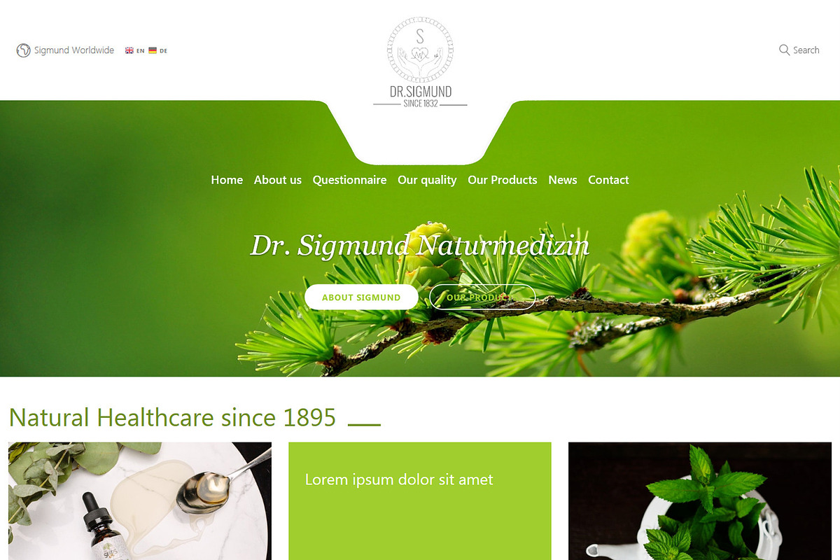 Dr. Sigmund - Wordpress Theme in WordPress Blog Themes - product preview 8