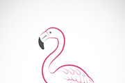 Vector of flamingo design. Birds.