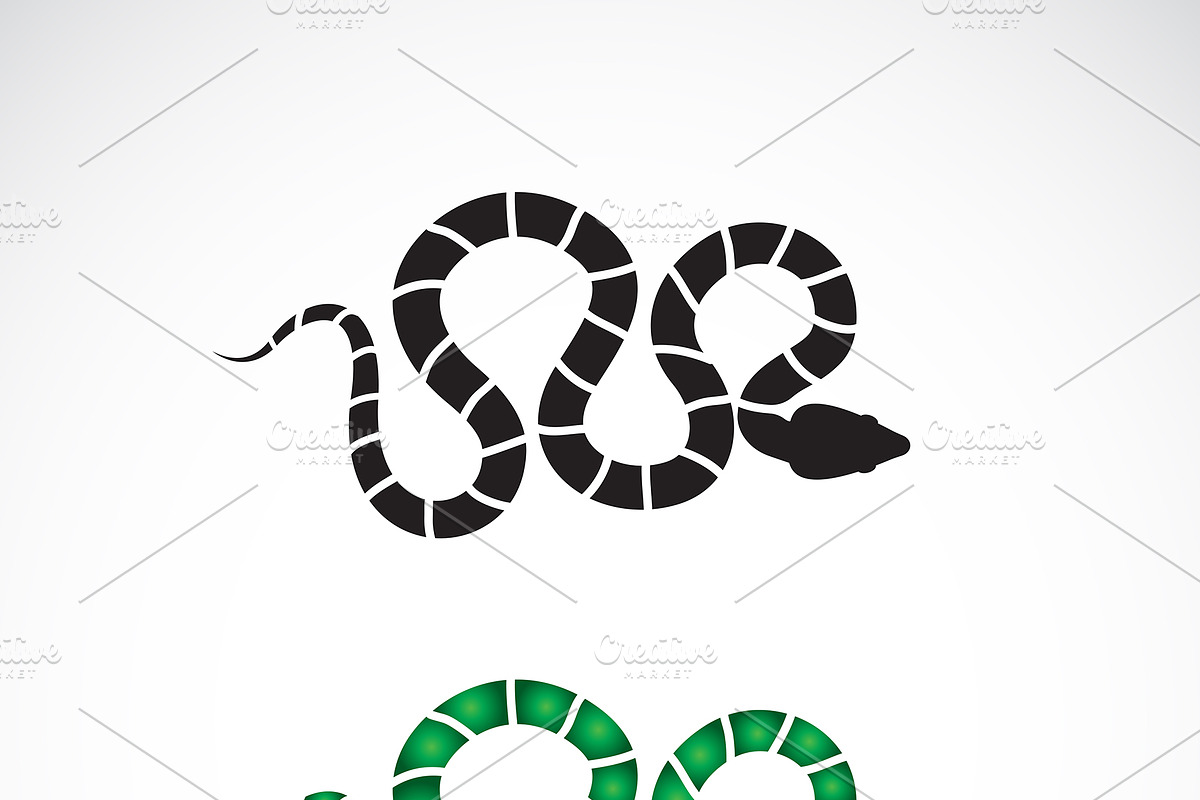 Vector of snake design. Reptile. in Icons - product preview 8
