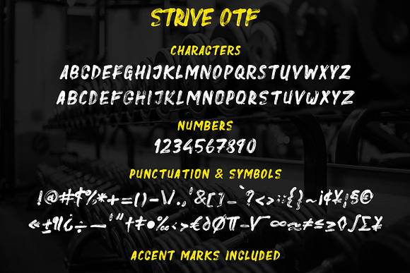 Strive - Hand Painted SVG Font in Display Fonts - product preview 8