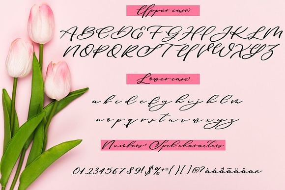 Maid Of Honor Script font + Doodles in Script Fonts - product preview 1