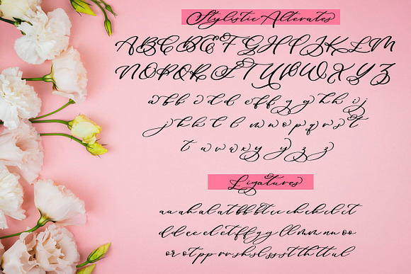 Maid Of Honor Script font + Doodles in Script Fonts - product preview 2