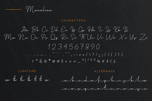 Royal Haster | Elegant Signature Fon in Script Fonts - product preview 7