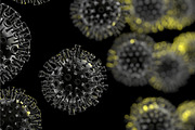 Coronavirus molecules distributed
