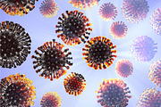 Coronavirus molecules distributed