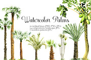 Watercolor Palms