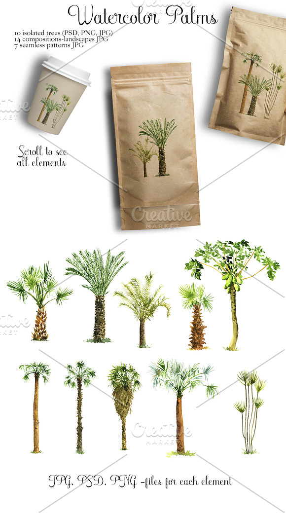 Watercolor Palms in Illustrations - product preview 2