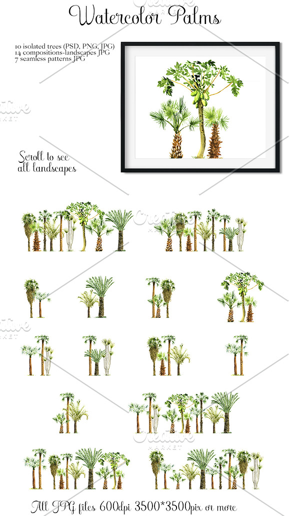 Watercolor Palms in Illustrations - product preview 3