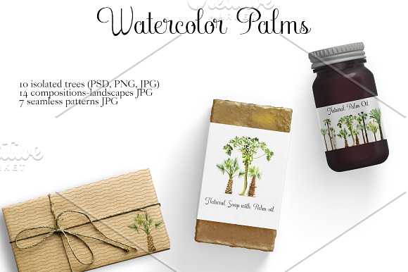 Watercolor Palms in Illustrations - product preview 5