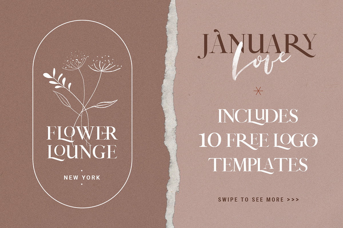 January Love Font Duo + Logos & More in Script Fonts - product preview 5