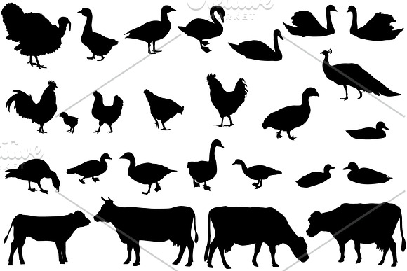 Farm animals in Illustrations - product preview 1