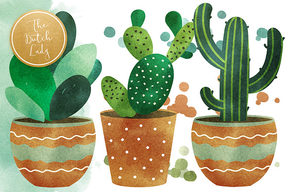 Cacti & Succulent Clipart Set in Illustrations - product preview 2