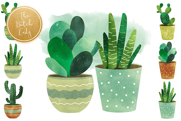 Cacti & Succulent Clipart Set in Illustrations - product preview 3