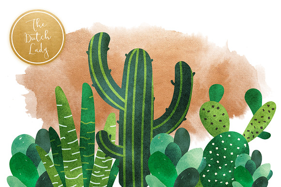 Cacti & Succulent Clipart Set in Illustrations - product preview 4