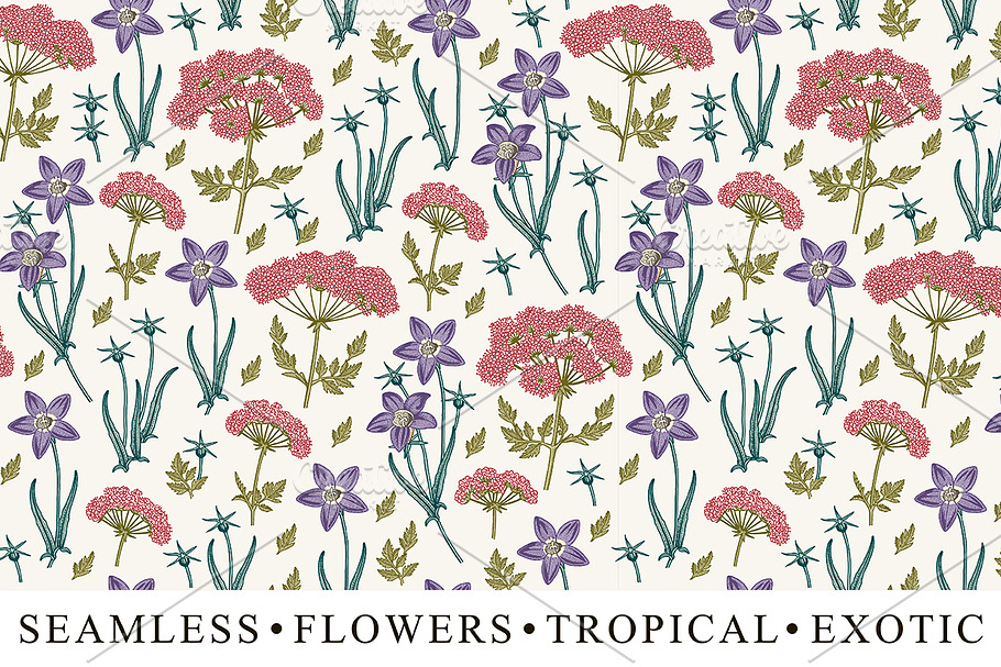 Set Seamless Flowers Tropical Exotic in Illustrations - product preview 8