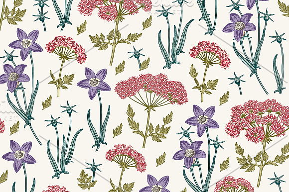 Set Seamless Flowers Tropical Exotic in Illustrations - product preview 4