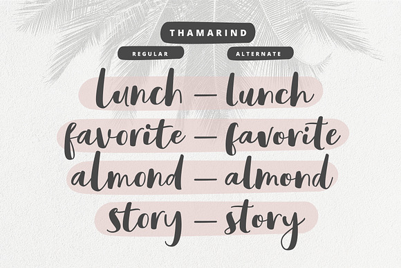 Thamarind Handwritten Font in Script Fonts - product preview 9