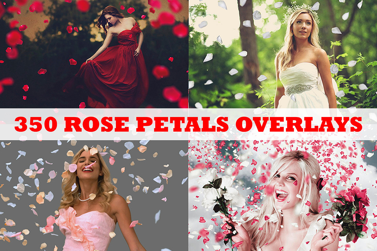 Pink, White, Red Rose Petals Overlay in Objects - product preview 8