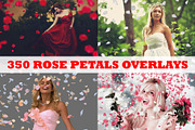 Pink, White, Red Rose Petals Overlay