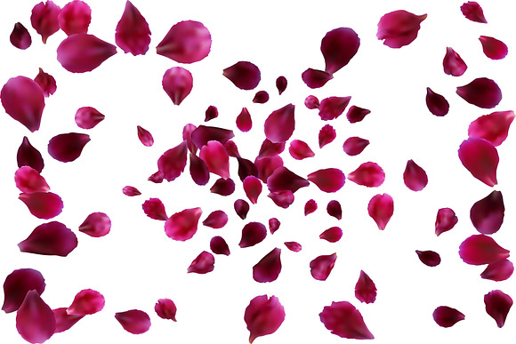 Pink, White, Red Rose Petals Overlay in Objects - product preview 7