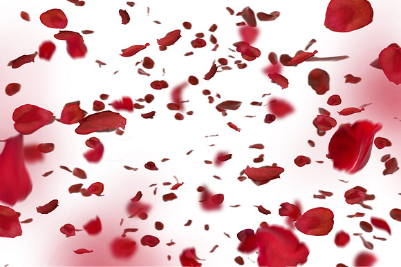 Pink, White, Red Rose Petals Overlay in Objects - product preview 8