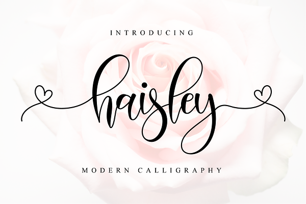 Haisley // Lovely Script Font