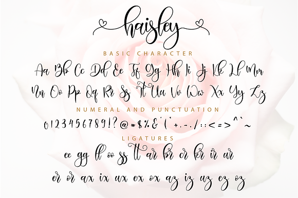 Haisley // Lovely Script Font in Script Fonts - product preview 10