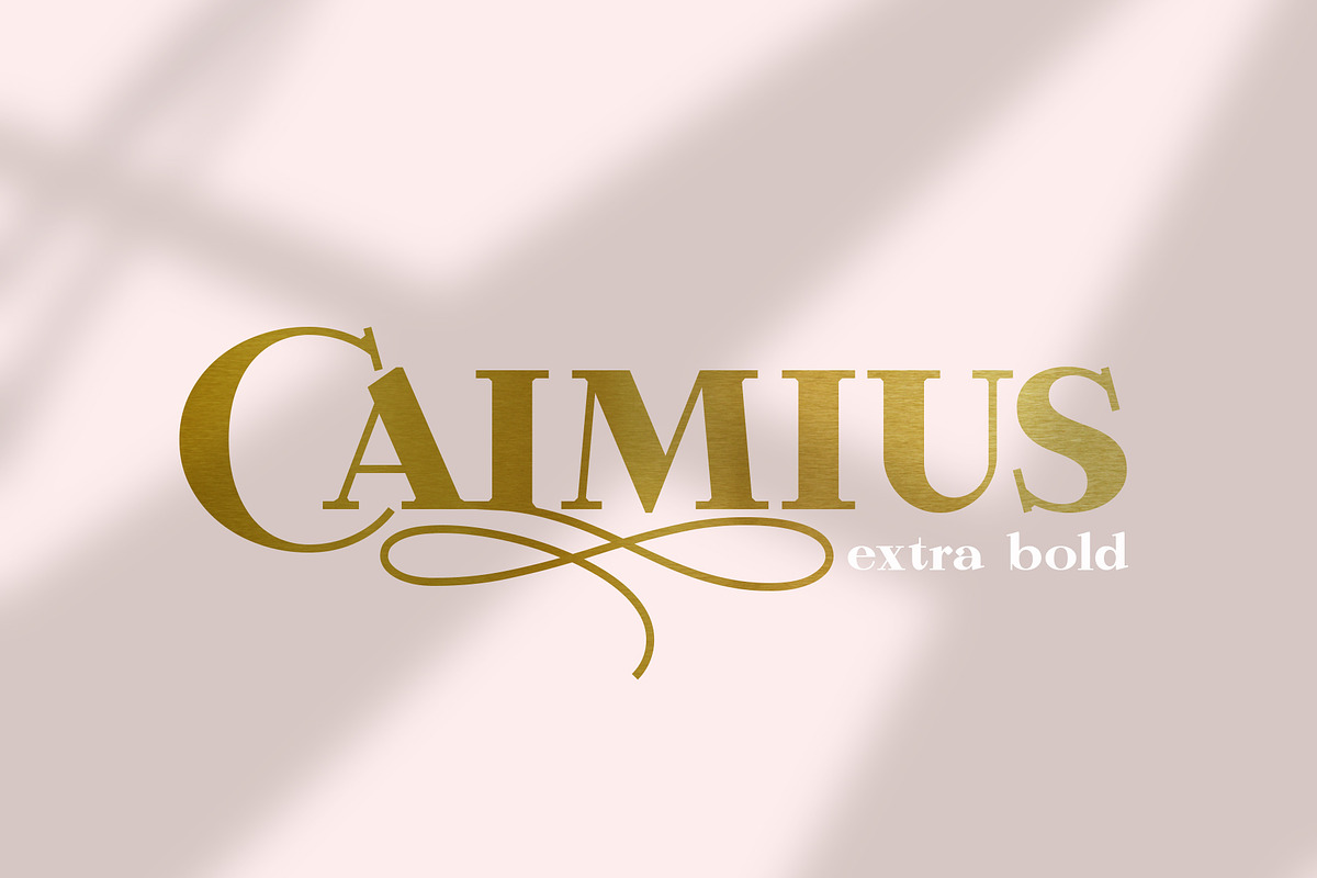 Calmius EB in Serif Fonts - product preview 8