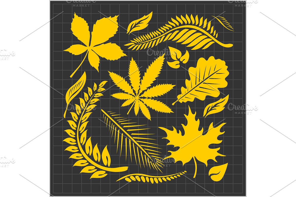 Leaf collection - vector set in Illustrations - product preview 8