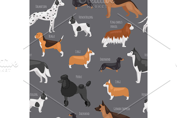 Dog breeds vector seamless pattern