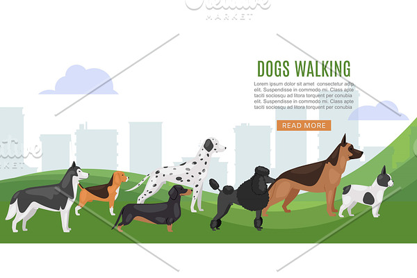 Walking dog service web baner vector